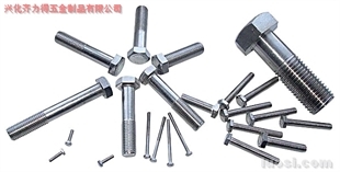 供應:316L 外六角螺栓,華人螺絲網提供各種供應:316L 外六角螺栓報價、價格、生產廠家、供應商-興化齊力得五金制品